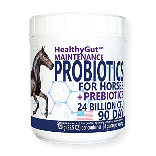 Suplemento dietético Equa Holistics HealthyGut Probióticos para caballos, fórmula de mantenimiento del sistema digestivo totalmente natural (90 días)