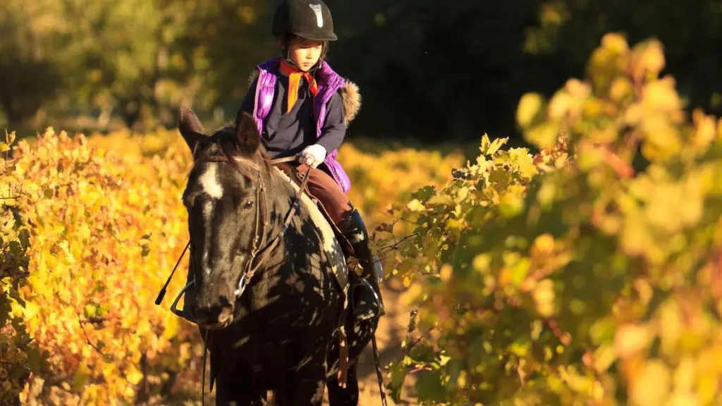 Imagen de un niño con casco de equitación mientras pasea a caballo por un campo,