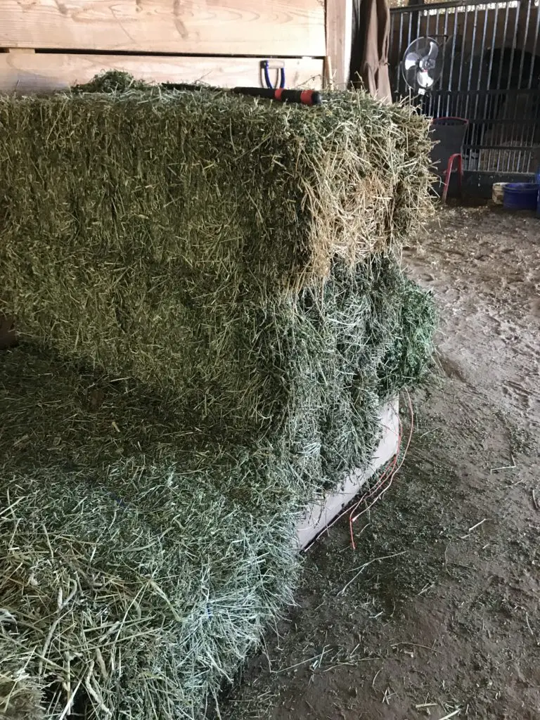 Imagen de fardos de heno de alfalfa apilados en un granero.