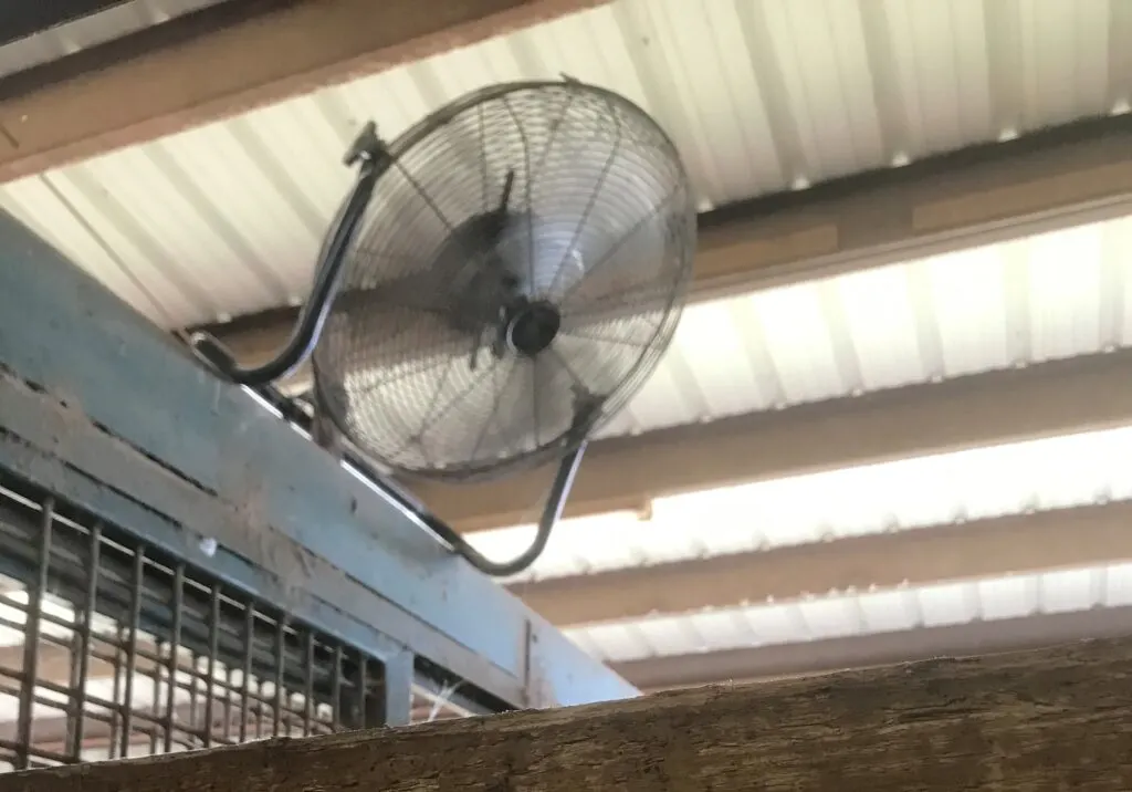Imagen de un ventilador en un establo de caballos.