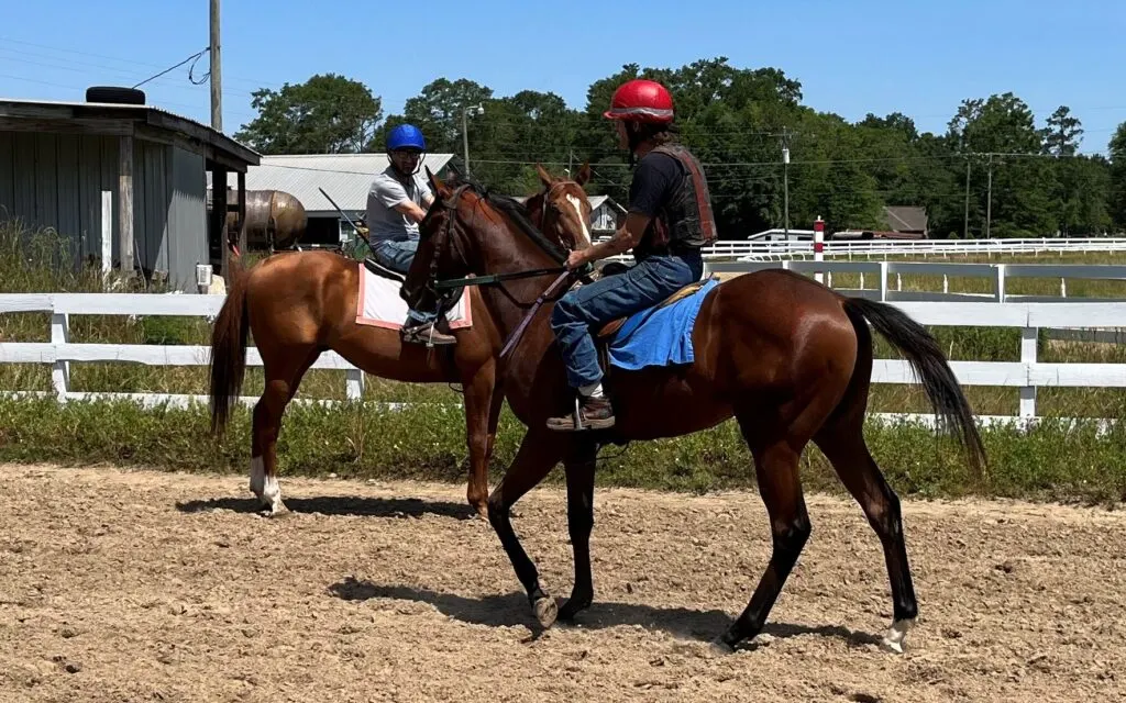 Imagen de dos caballos en una pista de entrenamiento.