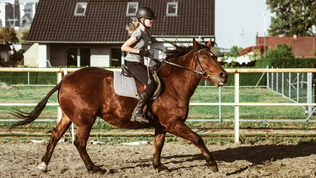 Imagen de una niña montando un caballo.
