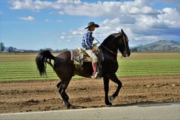 Imagen de un niño montando su caballo en la carretera, posiblemente descalzo.