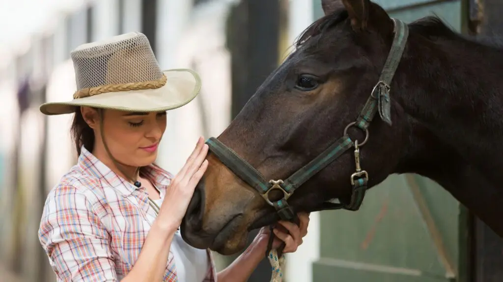 imagen de una mujer y un caballo, es posible que se pregunte qué palabras entiende el animal,