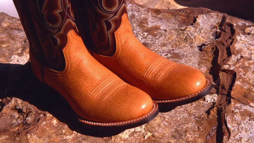 Imagen de un par de botas de vaquero roper.