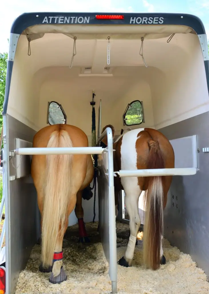 Imagen de un remolque para caballos de carga recta para dos caballos.