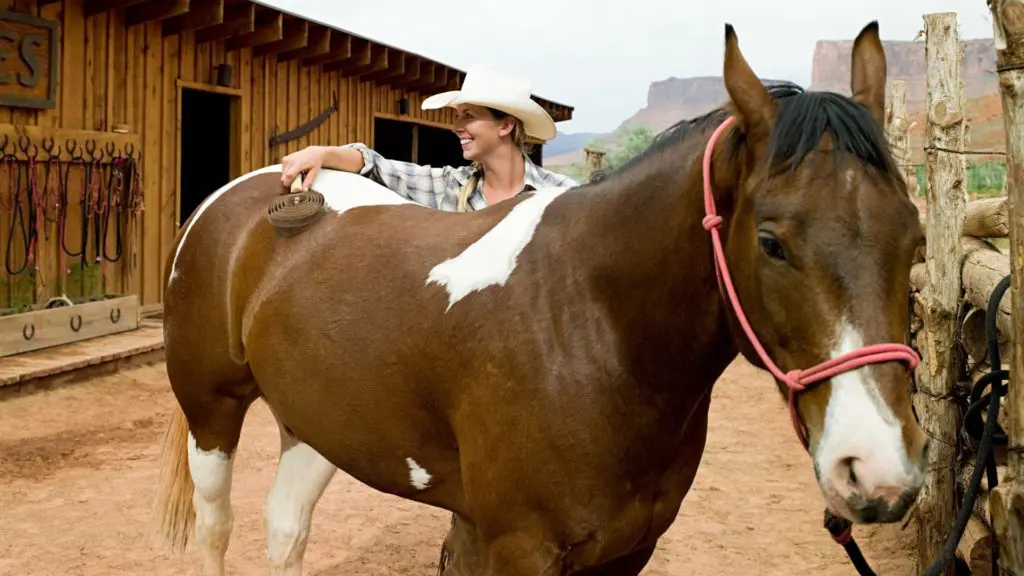Imagen de una mujer cepillando a su caballo.