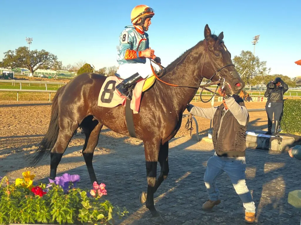 Imagen de un jinete sobre un caballo de carreras negro.