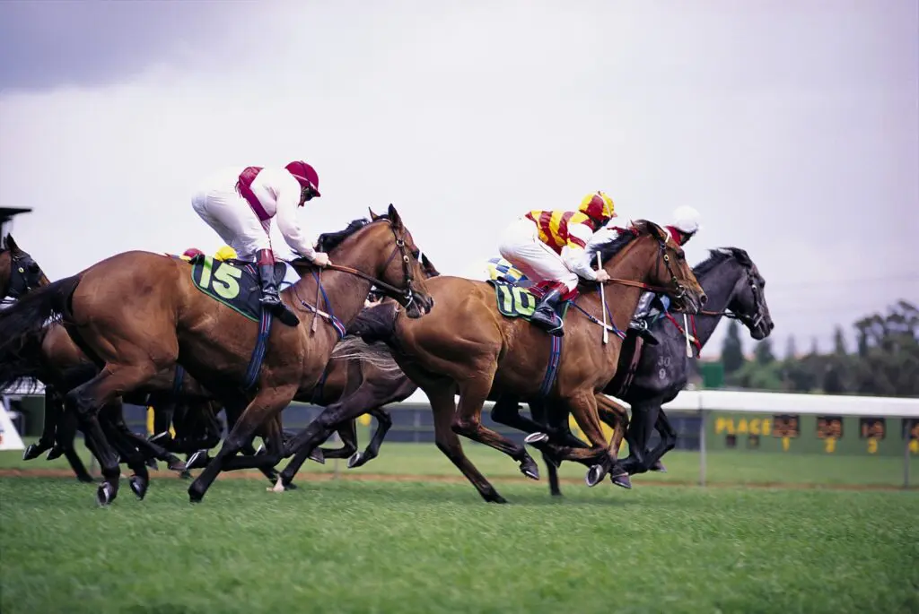 Imagen de carreras de caballos en una carrera clásica,