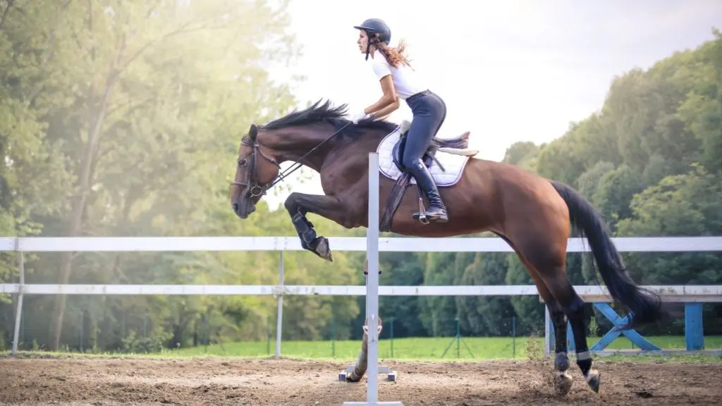 Imagen de un caballo saltando un obstáculo con un jinete.