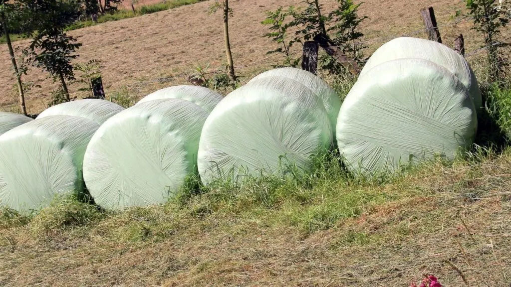 Imagen de fardos de heno redondos envueltos en un campo.