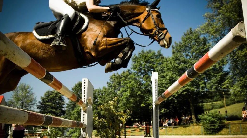 Imagen de un caballo saltando sobre un obstáculo en una competencia de saltos.