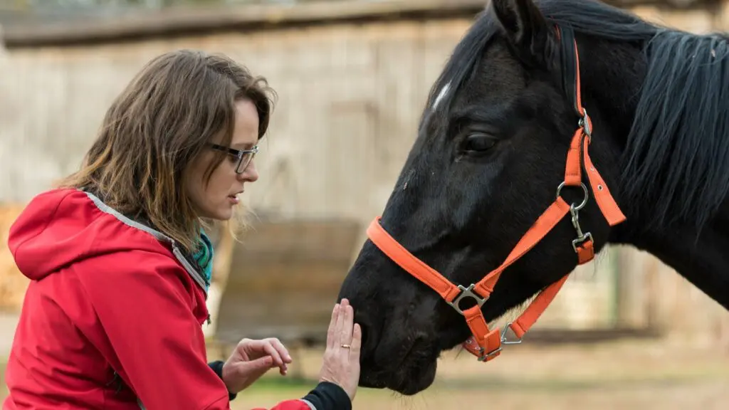 Imagen de una mujer revisando su caballo para detectar una enfermedad común,