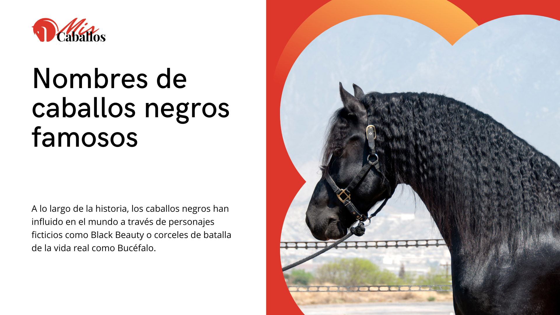 Nombres de caballos negros famosos
