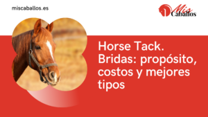 Horse Tack. Bridas: propósito, costos y mejores tipos