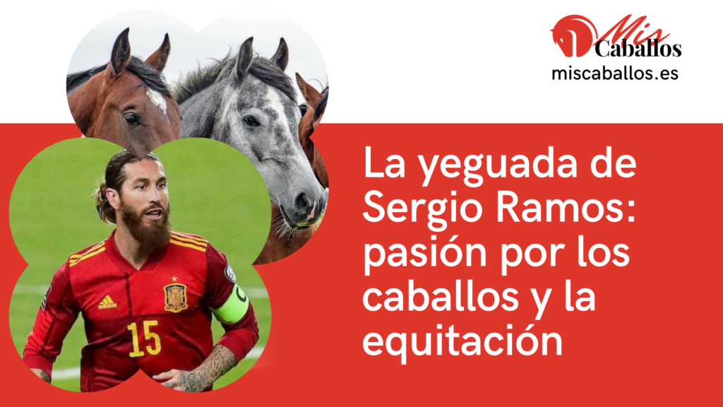 La yeguada de Sergio Ramos: pasión por los caballos y la equitación
